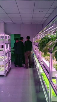 植物工廠高效生產(chǎn)技術(shù)交流會 e光農(nóng)場站