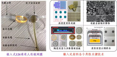 深圳先進院攜多個黑科技產(chǎn)品閃耀CIOE2018，推動光電技術(shù)交流與創(chuàng)新